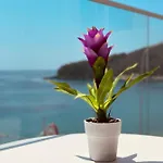 Ionian Terrace Χειμάρρα