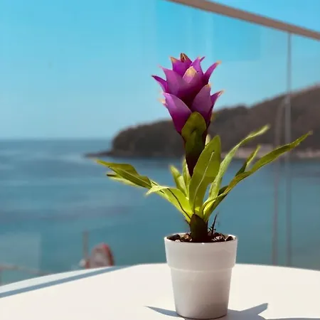 Ionian Terrace Himarë