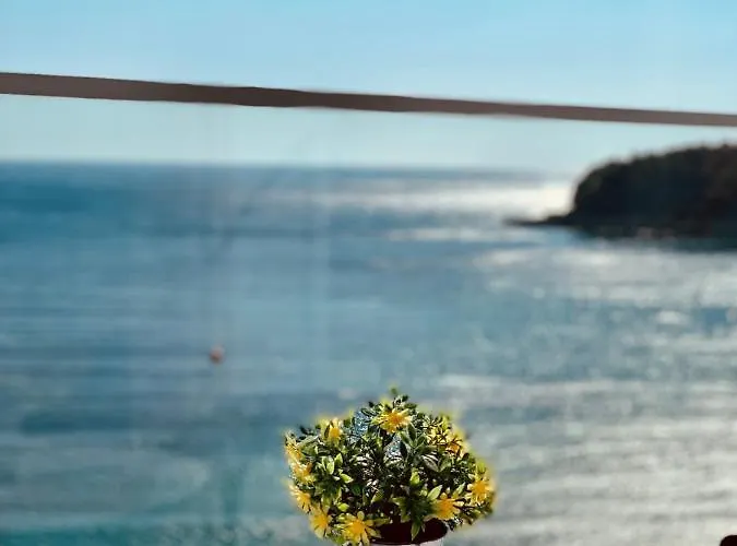 Ionian Terrace
