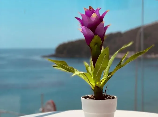 Ionian Terrace Himare