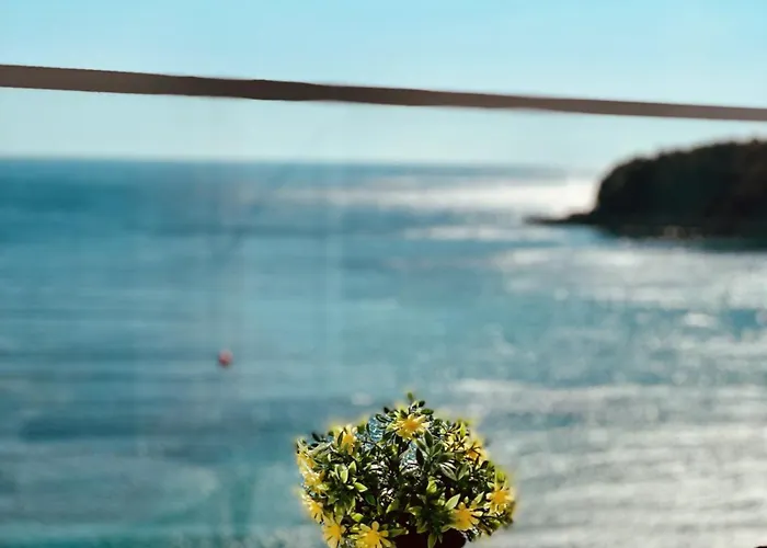 فندق مبيت وإفطار Ionian Terrace 3*